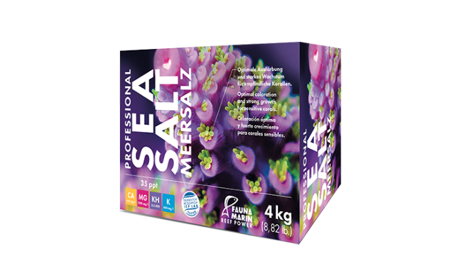 Capture d’écran 2020-08-15 à 20.42.13