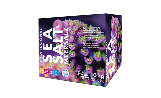 Capture d’écran 2020-08-16 à 00.36.13