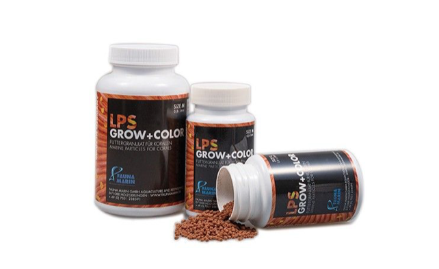 Capture d’écran 2020-08-16 à 00.46.35