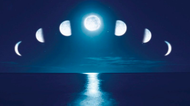 Capture d’écran 2020-11-15 à 10.52.31