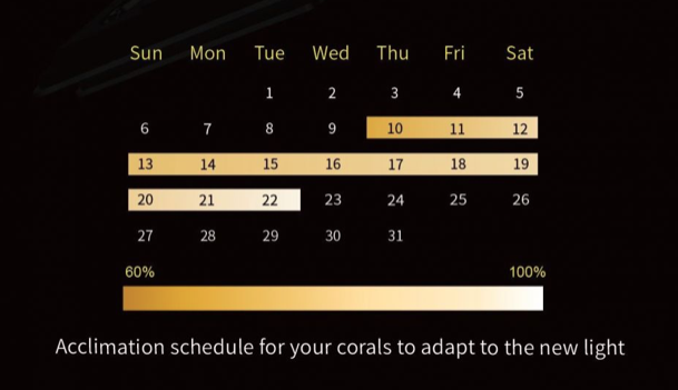 Capture d’écran 2020-11-15 à 10.52.59