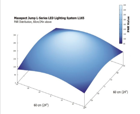 Capture d’écran 2020-11-15 à 10.53.11