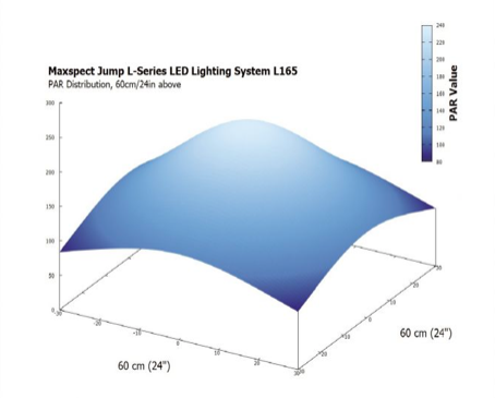 Capture d’écran 2020-11-15 à 10.53.21