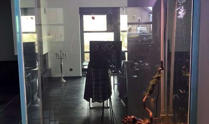 Réalisation d’un décor d’aquarium eau douce