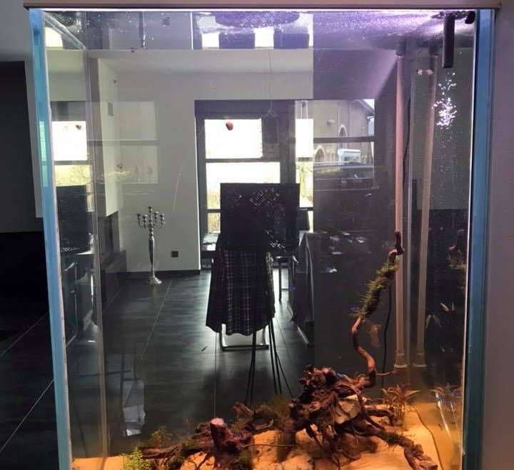 Réalisation d’un décor d’aquarium eau douce